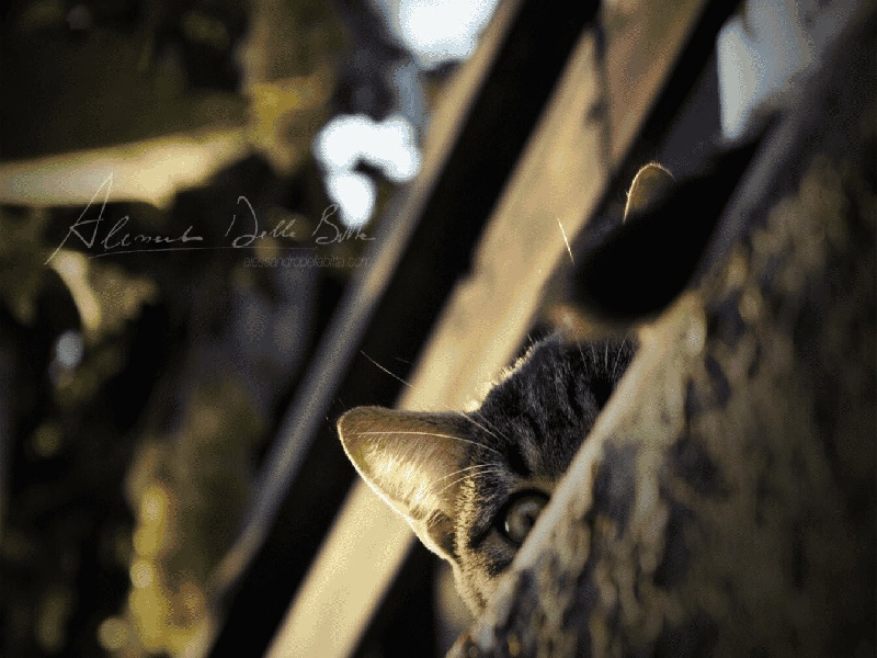 试管移植黑色长筒袜,做试管20次的人